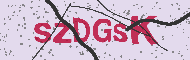 Ungültiger Sicherheitscode